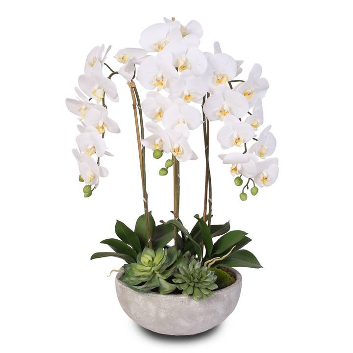 Orchidées Phalaenopsis blanches en soie succulentes dans un bol en pierre pour la vente par JENNY SILKS