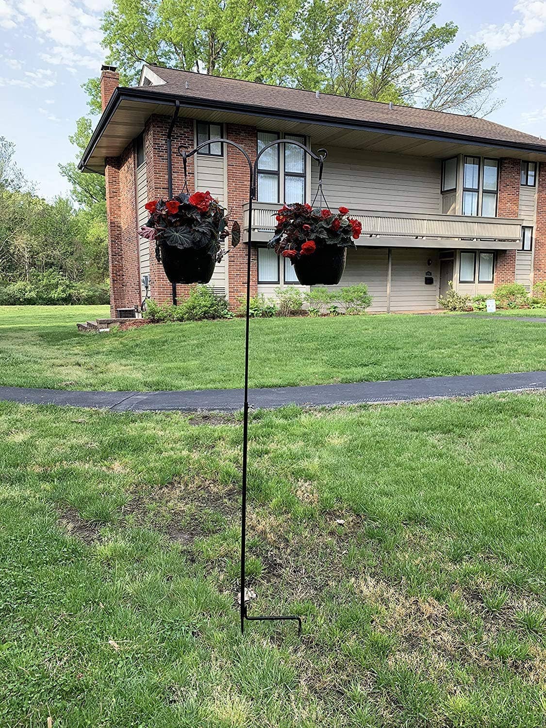 Ashman Online - Wholesale Outdoor Ornament/Decor - Ashman 91 Inch Adjustable Shepherds Hook with Twin Hooks 5/81