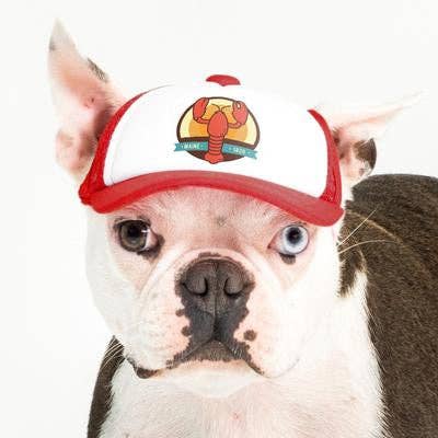 PupLid - Wholesale Pet Hat - Dog - Lobster Standard or Namedrop | Trucker Hat for Dogs1