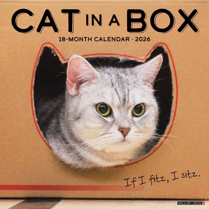 Willow Creek Press & Gifts - Wholesale Calendar - Cat in a Box 2026 Wall Calendar0
