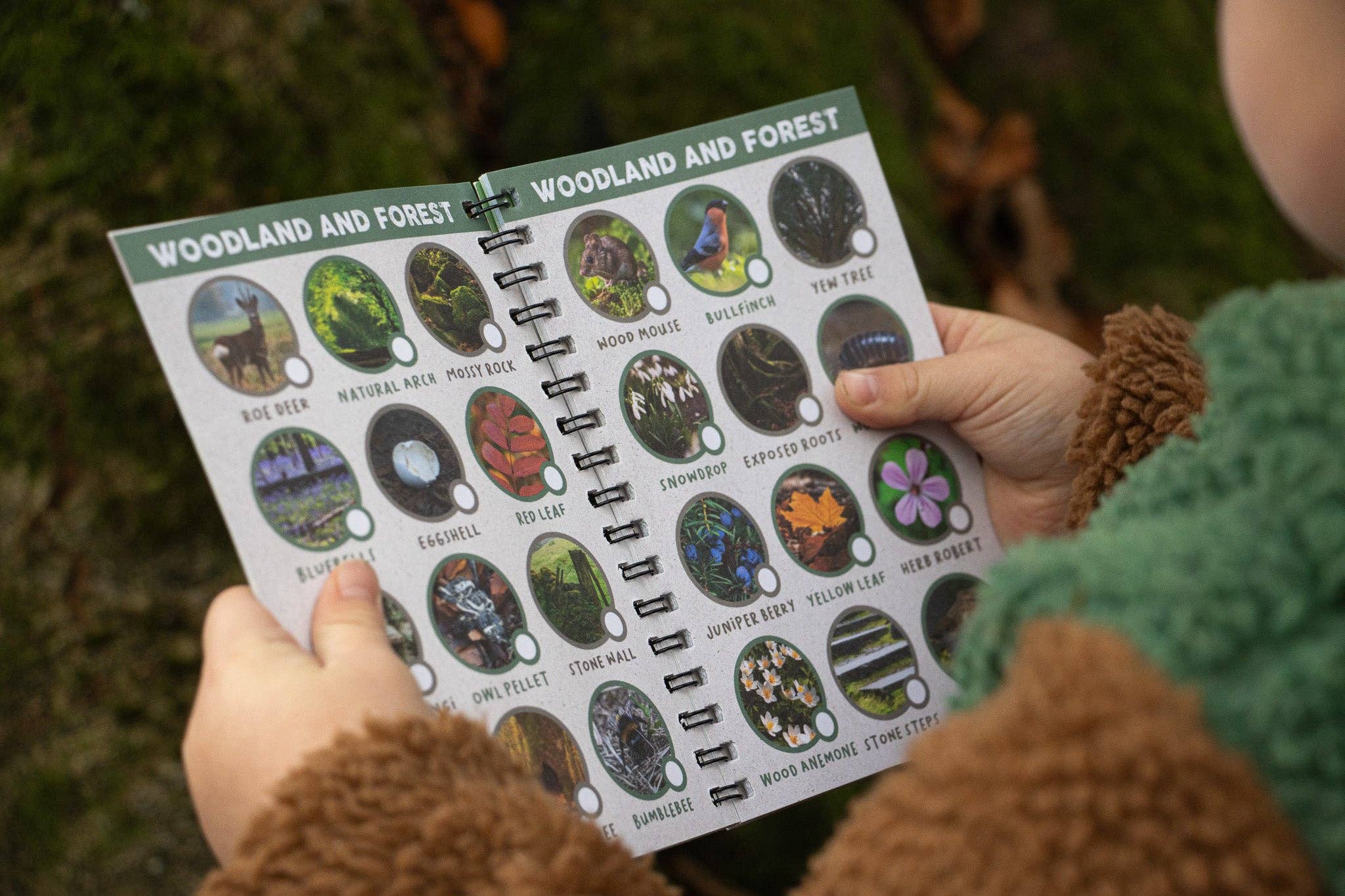 The Wild Spark – wholesale Nature and outdoors – Off The Beaten Track: The Very Wild Scavenger Quest2