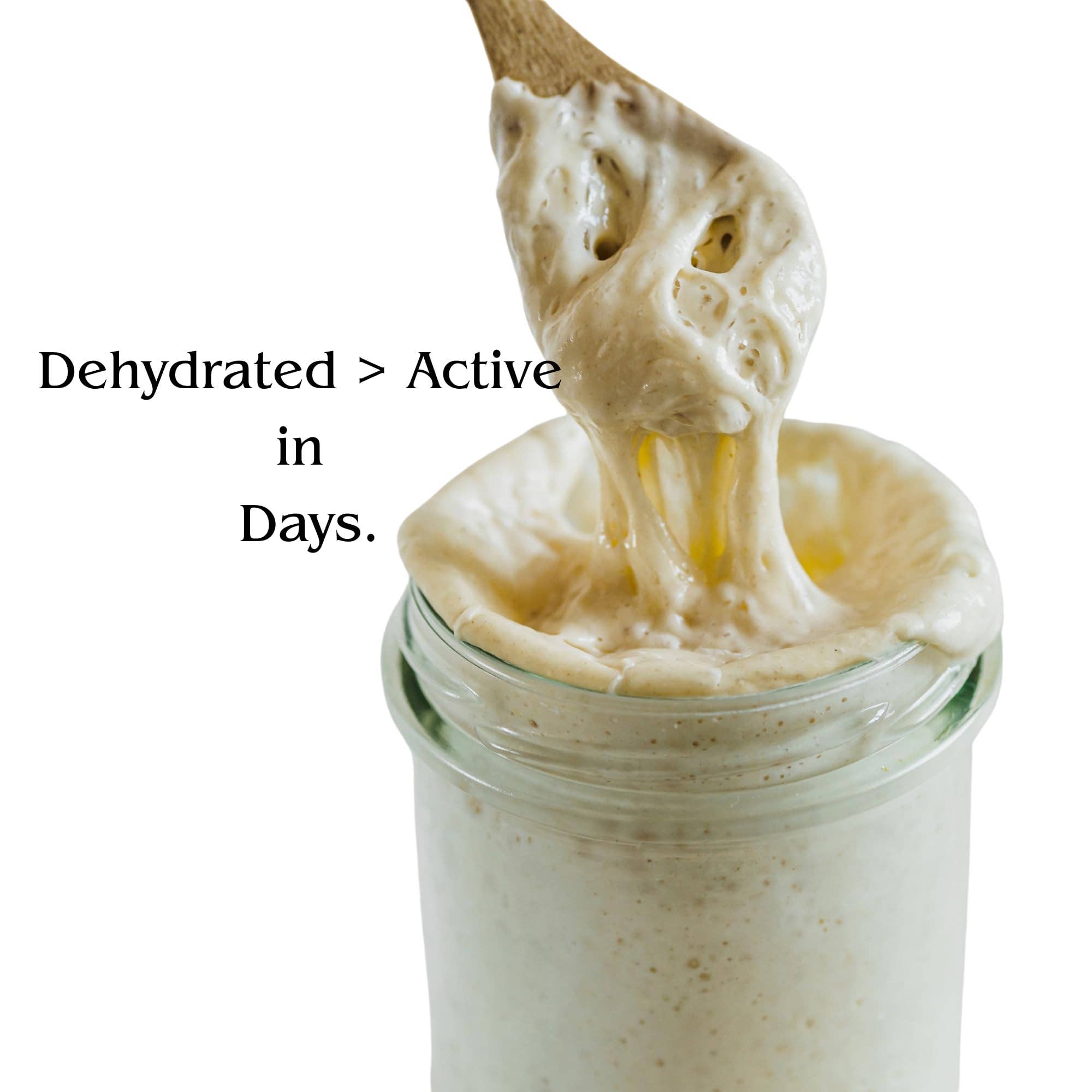 Top Rated Brands – Großhandel Brotbackmischungen – Dehydrierter Sauerteig-Starterkultur - San Francisco Stil3