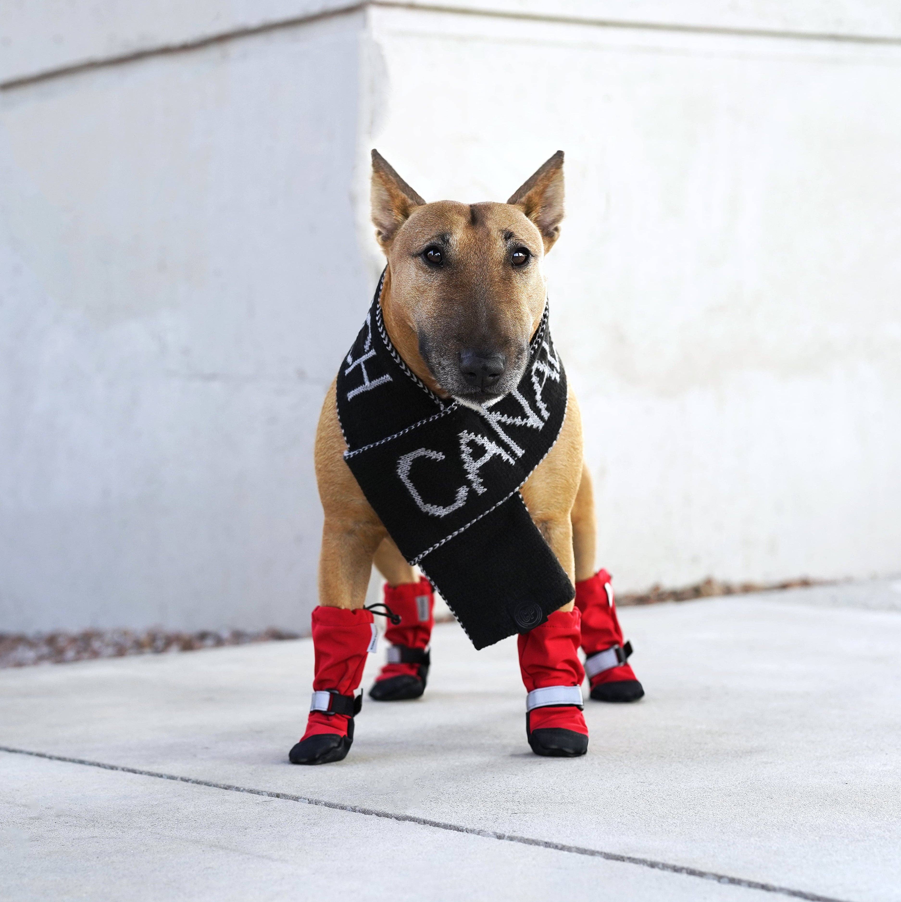 Canada Pooch - Wholesale Pet Boots - Dog - Soft Shield Boots- Dog Boots9