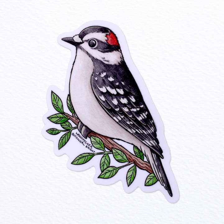 Dunspett Vinylklistermärke för wholesale av Botanical Bright