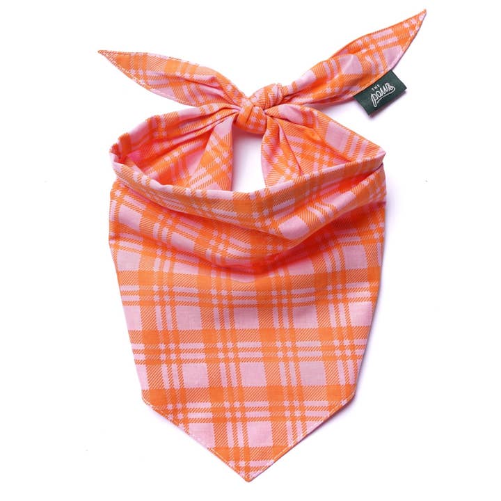 Bandana para Cão Stevie por atacado de The Paws