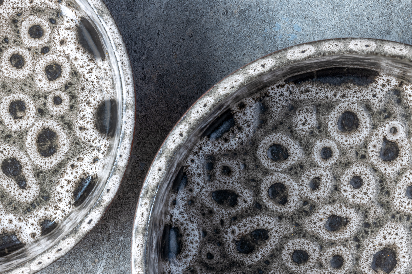 AVA bowls - Venta al por mayor Comedero - Gatos y perros - Cuenco de cerámica para comida Jag5