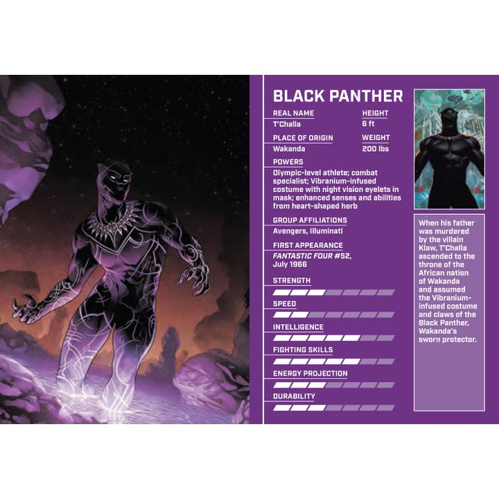 Insight Editions - Wholesale Book - Adult - Marvel Comics: Mini Book of Heroes