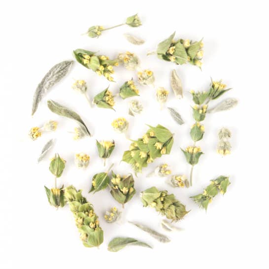 rhoeco - fine organic goods - Wholesale Tea Bags - Big Bags - 100 Bulk Compostable Pyramid Teabags10