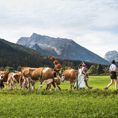 Callwey GmbH - Wholesale Travel Book - Guest in Bavaria. Recipes and Insider Tips (German)4