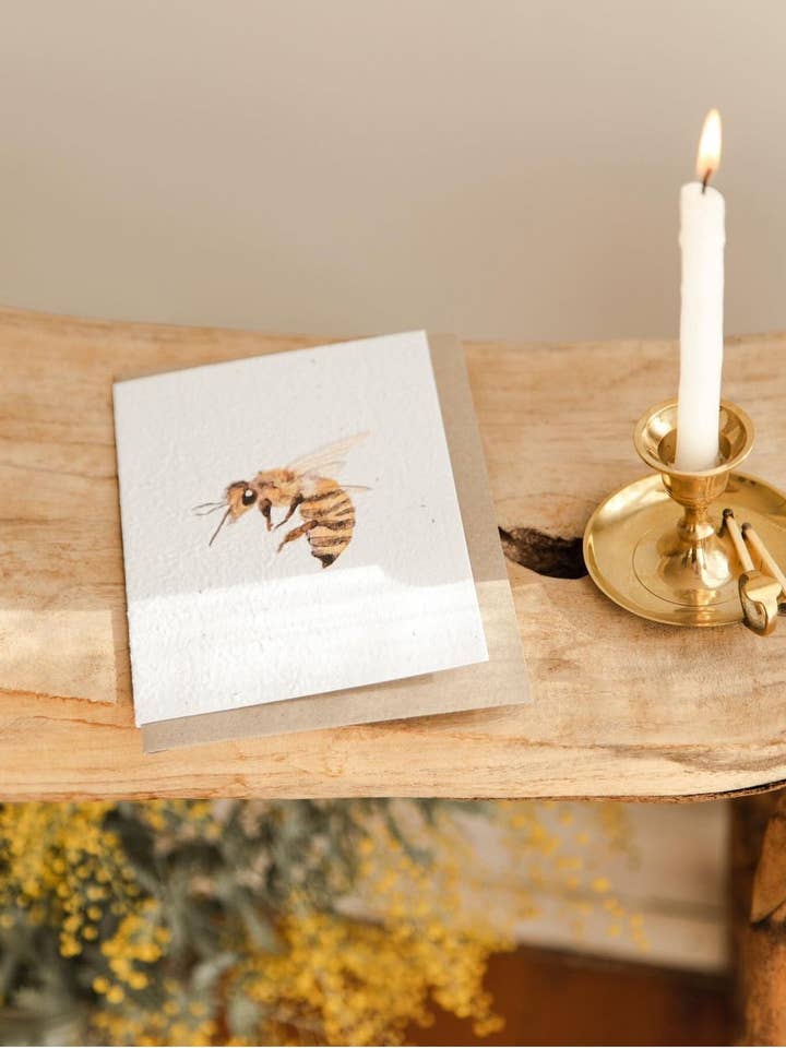 Australian Botanicals // Plantable Cards // Pk of 27 Cards for wholesale by treasureinventory