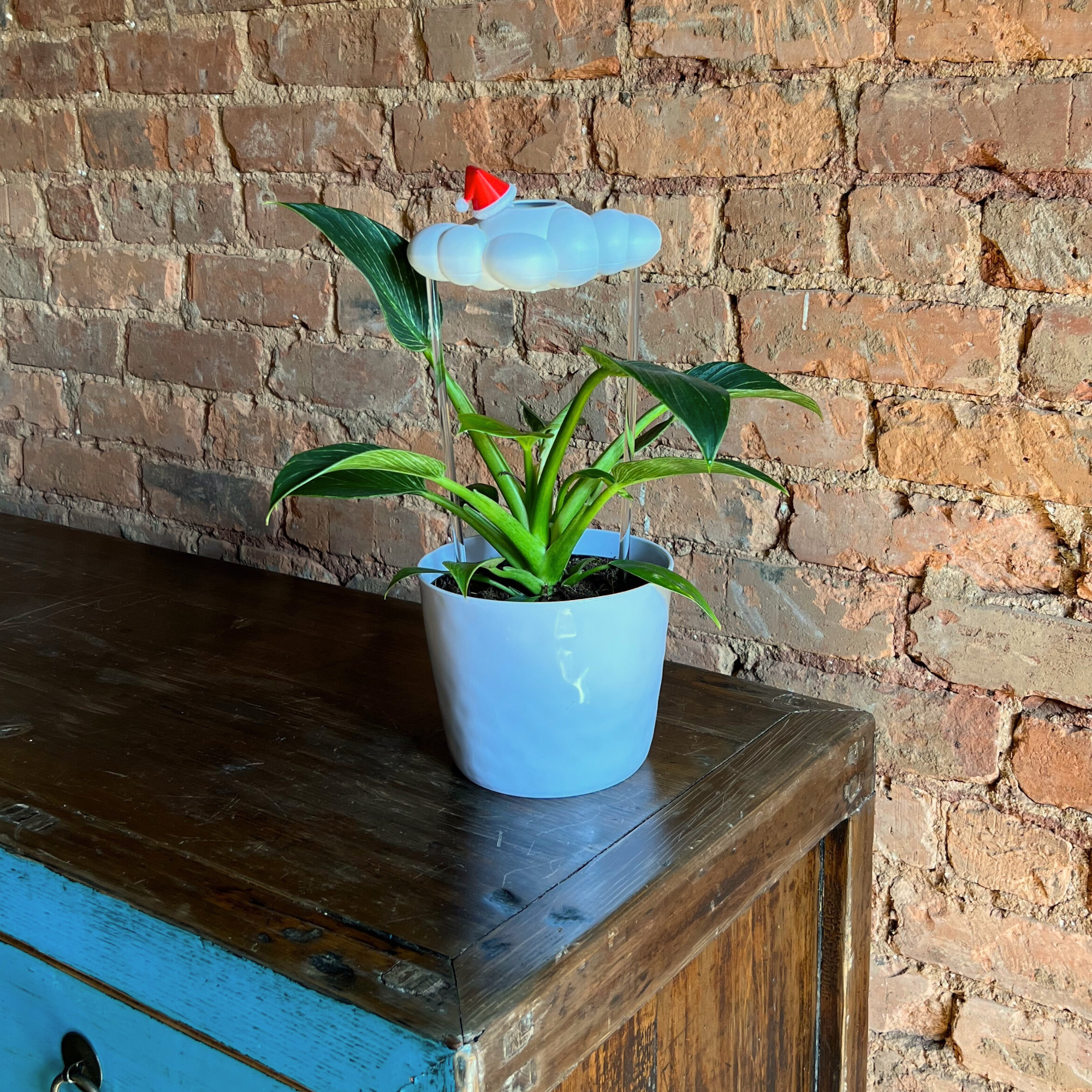 The Cloud Makers - Wholesale Plant Pot - Santa Hat Charm6