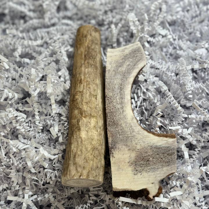 Lynchburger Medium Elk Antler for wholesale by Lynchburger Pet Products