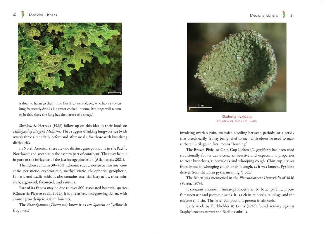 Simon & Schuster - Wholesale Medical Health - Medicinal Lichens by Robert Dale Rogers6