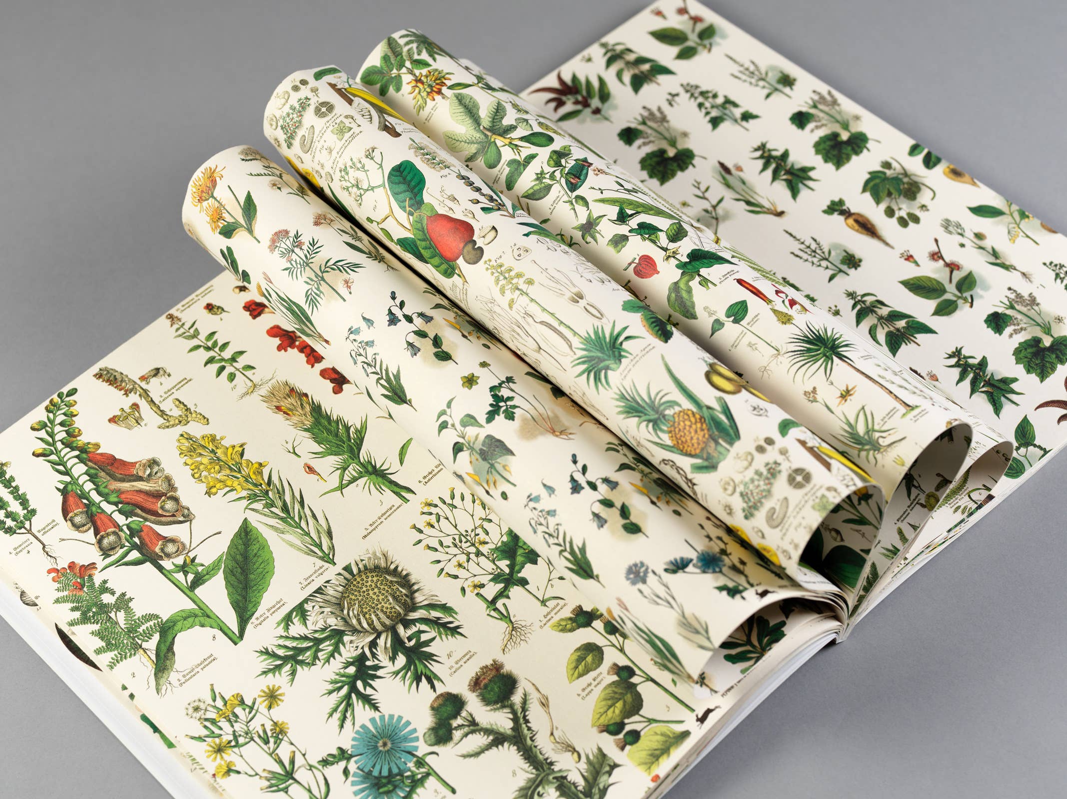 Pepin Press – wholesale Flat wrap – Flora Gift & Creative Paper Book Vol. 851