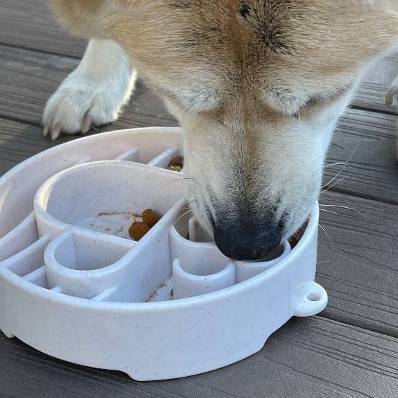 Coffee Bean Java Design eBowl Enrichment Slow Feeder Bowl for Dogs for wholesale on Faire8