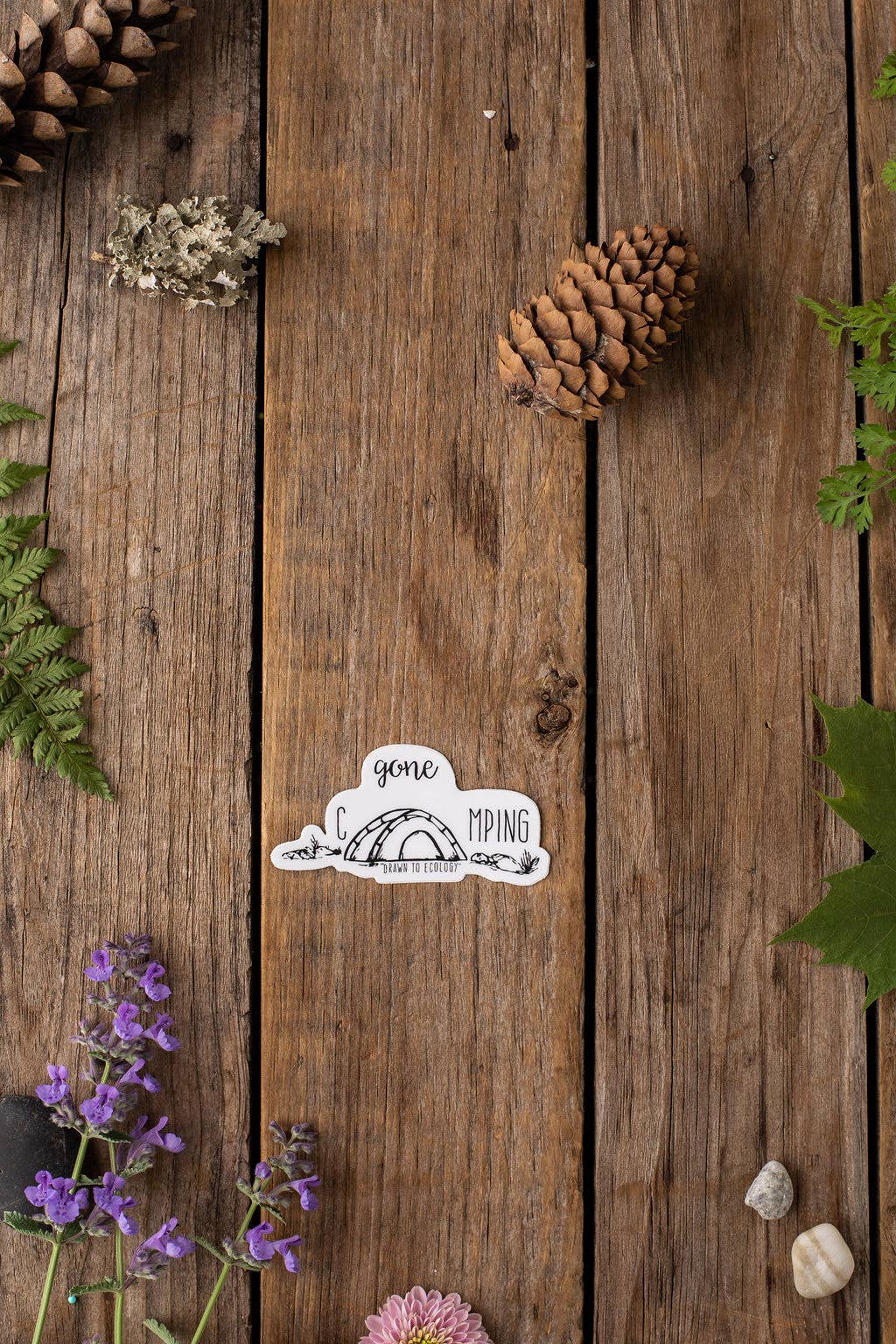 Drawn to Ecology - Wholesale Sticker - Gone Camping Sticker0