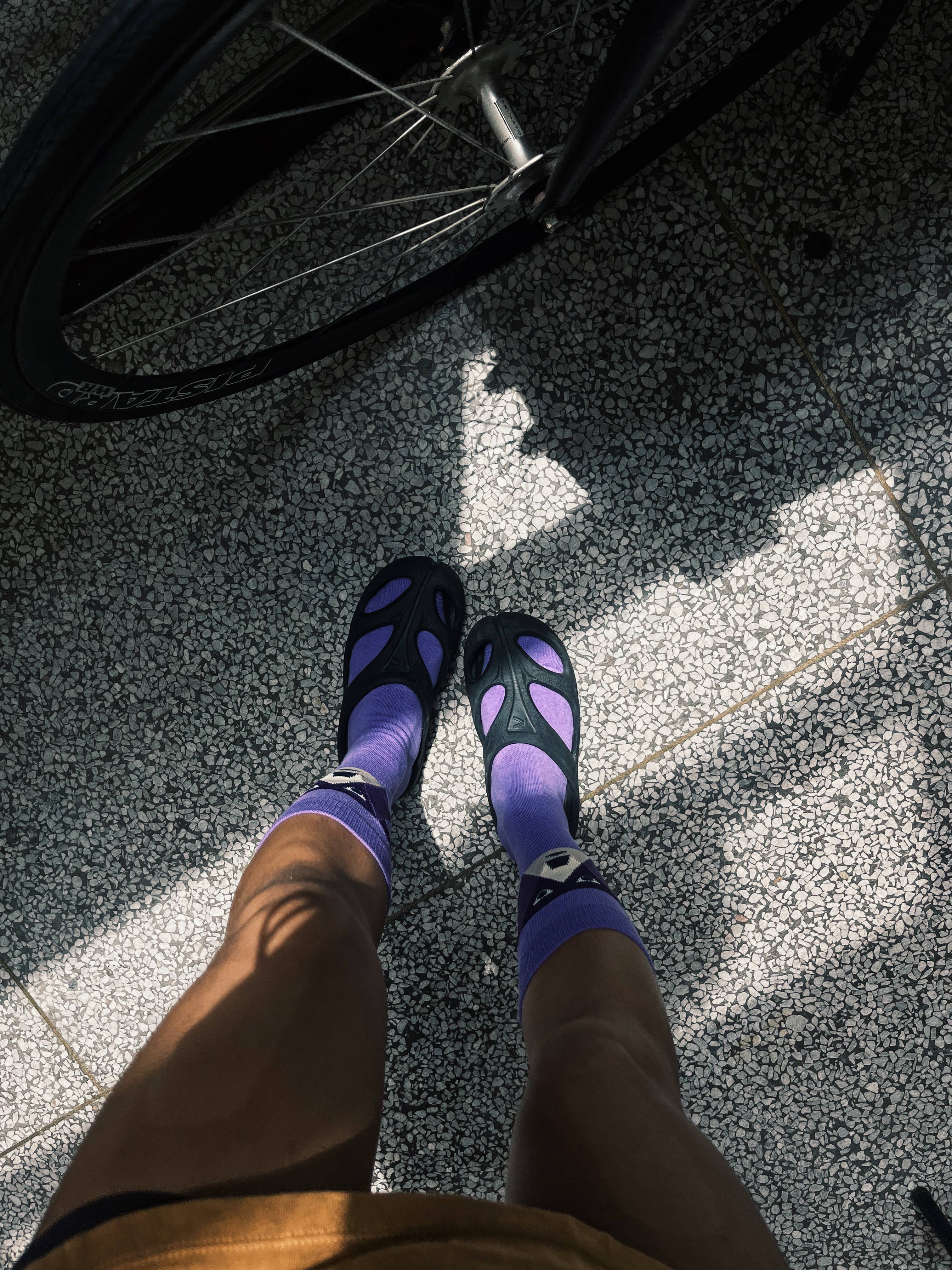 Purple Bear Socks | Semibold Lavender Bear Athleisure Crew Socks for wholesale on Faire7