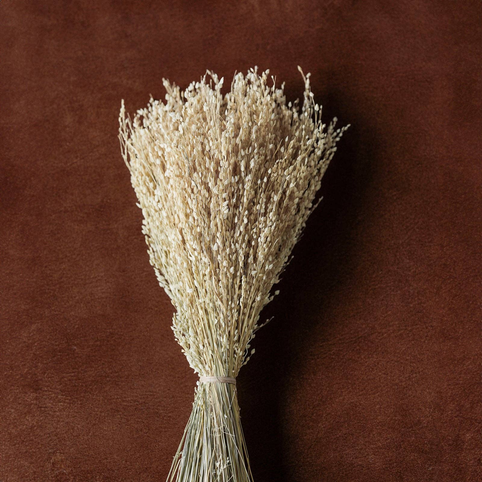 Blue Ocean Traders - Wholesale Dried/Pressed Flowers - Mixed Dried Grasses and Florals Bleached, 12"4