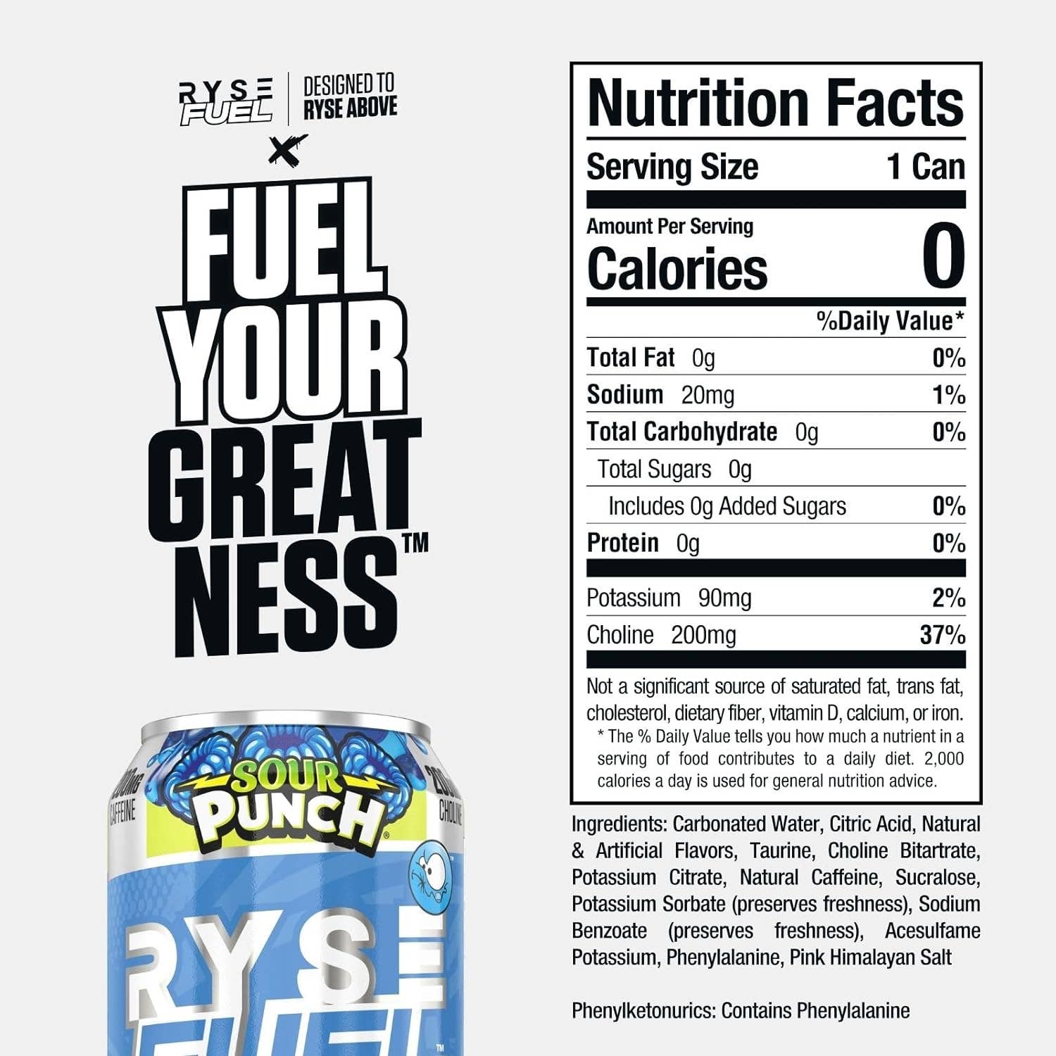 Campus Protein - Wholesale Sports/Energy Drink - RYSE Fuel Energy Drink16