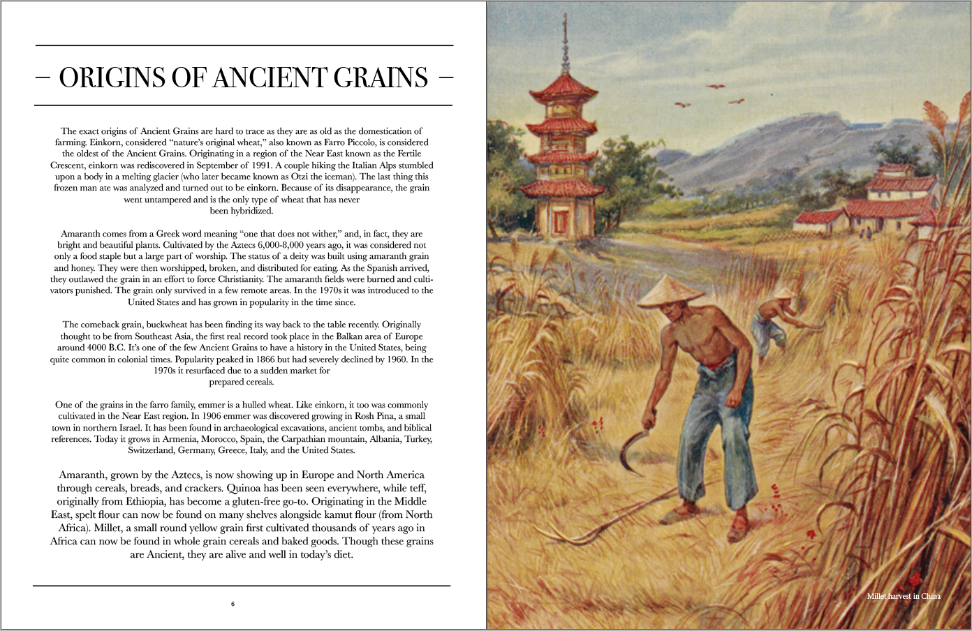 Honest Magazine – Engroshandel Magasin – De gamle korn Issue9