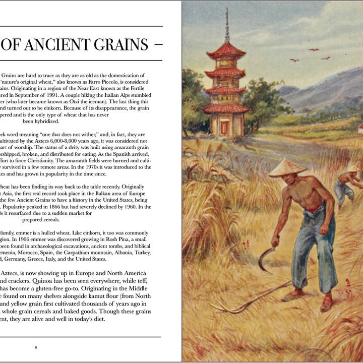 Honest Magazine - Wholesale Magazine - The Ancient Grains Issue9