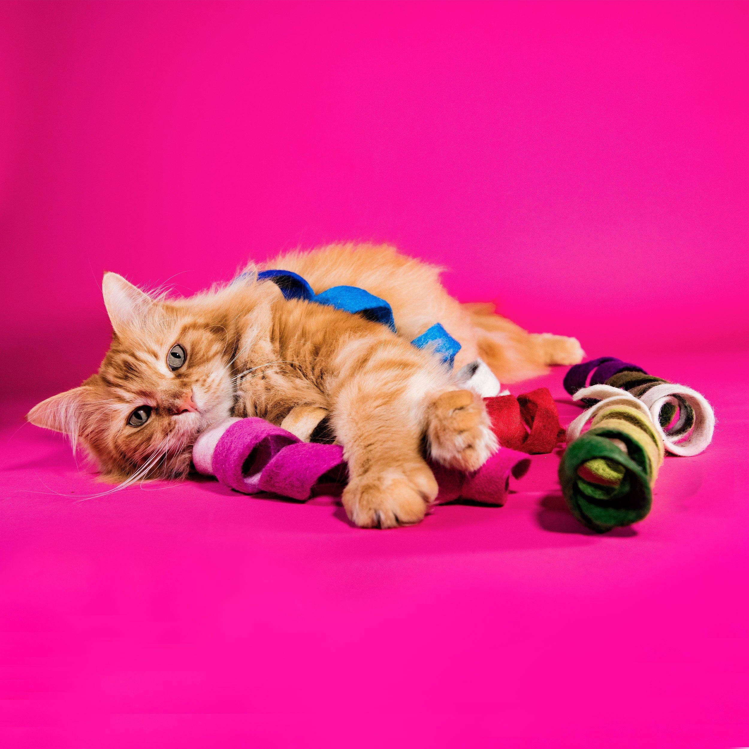 Mimi’s Daughters - Wholesale Pet Toy - Cat - Spinny Spiral - Felt Cat Toy5