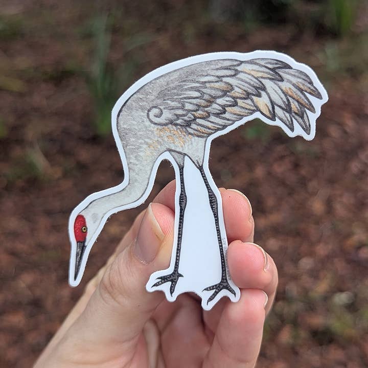 Kate Dolamore Art - Wholesale Sticker - Sandhill Crane (Foraging) Vinyl Bird Sticker1