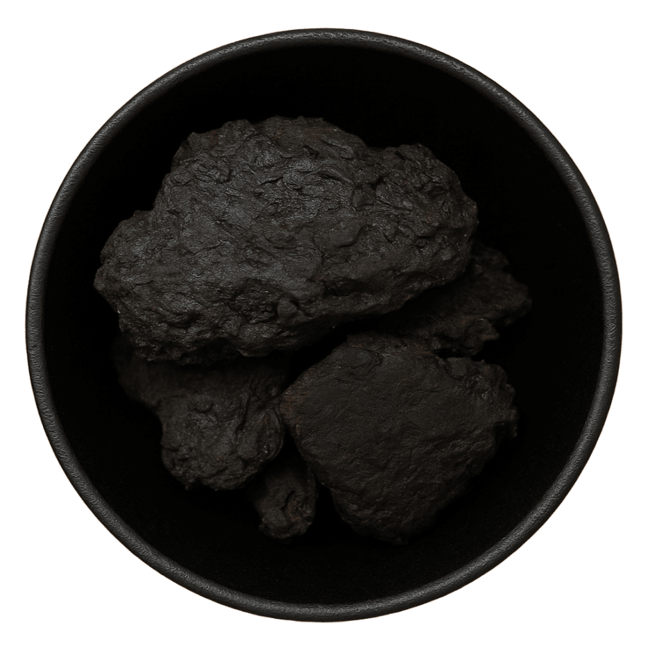 LA Herb - Wholesale Herbs - Solomon's Seal Rhizome Pieces (Polygonatum Sibiricum)1