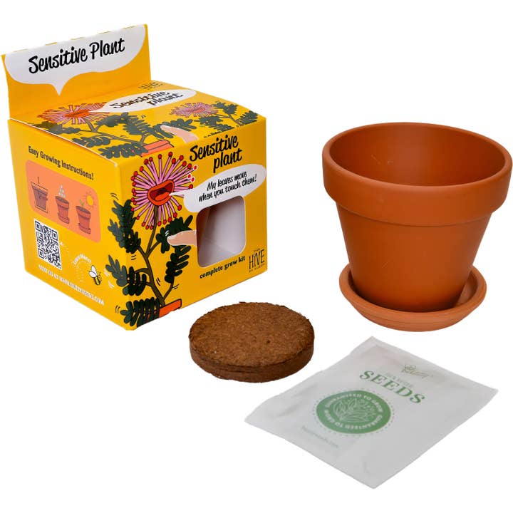 Buzzy Seeds Grow Gifts - Wholesale Plant Seeds - Sensitive Plant Grow Kit – Exotic Indoor Gardening Gift1