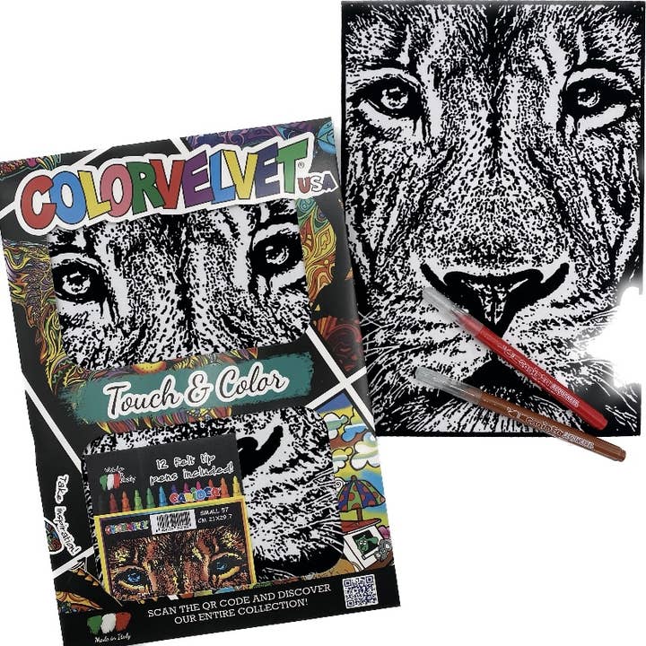 Lion Close Zoo / Small Picture w/12 markers 8.25" x 11.5" for wholesale by Colorverse
