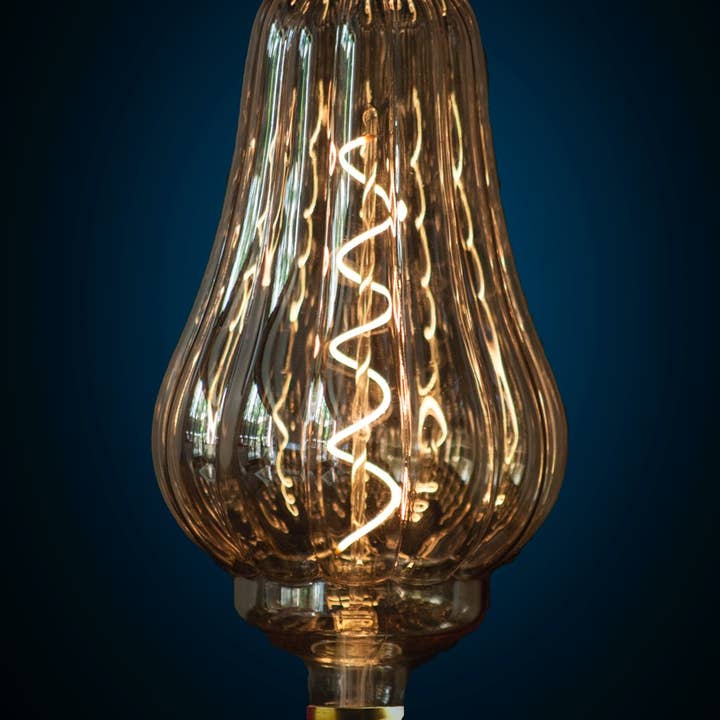 Jurassic-Light - Wholesale Light Bulb/Puck - Vintage Bulb CANDICE