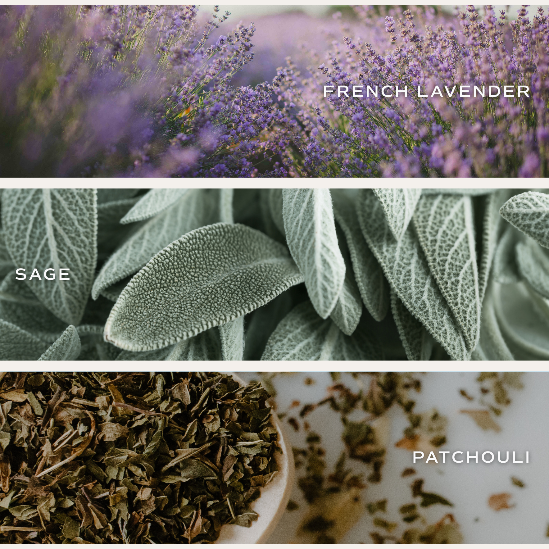 Sweet Water Decor - Vendita all'ingrosso Candela in vasetto - Candela di soia da 325 g con profumo di lavanda e salvia - decorazione e regali per la casa3