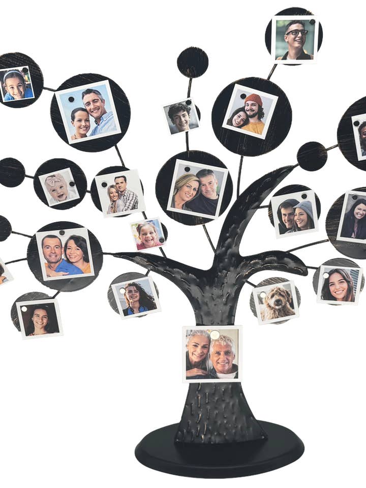 Magnetic Photo Display Family Tree for wholesale by FamilyTree Traditions LLC