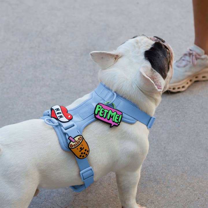 Jiby Dog Crew – wholesale Pet collar charm – Cat/dog – Pet Me Jiby Dog Charm1