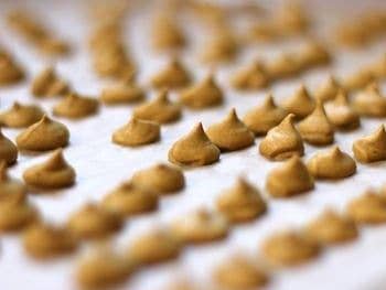 Copper Kettle Bakery - Wholesale Cookie - Welsh Cakes - Butterscotch Pecan - Ready Made1