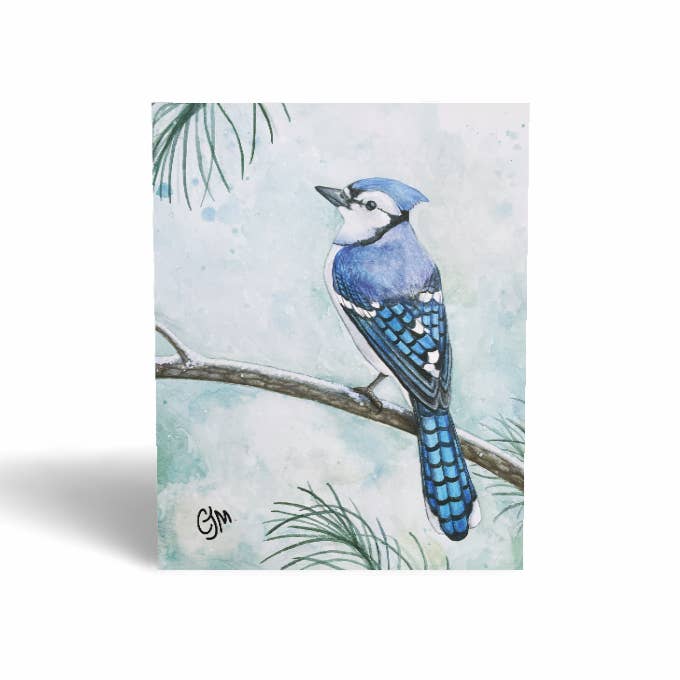 BirdMatch - Wholesale Everyday Greeting Card - Greeting Cards1
