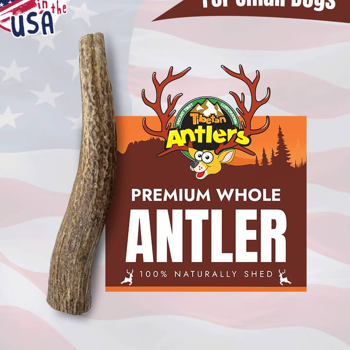 Tibetan Whole Antler-Small for wholesale by Tibetan Dog Chew