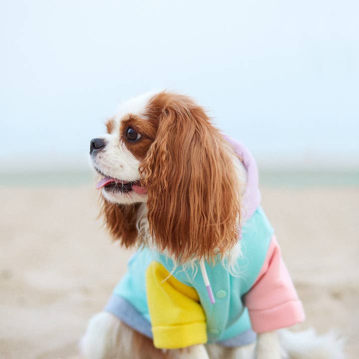 ARISTOPET - Wholesale Pet Hoodie - Dog - AUGUSTO AQUA HOODIE SWEATSHIRT13