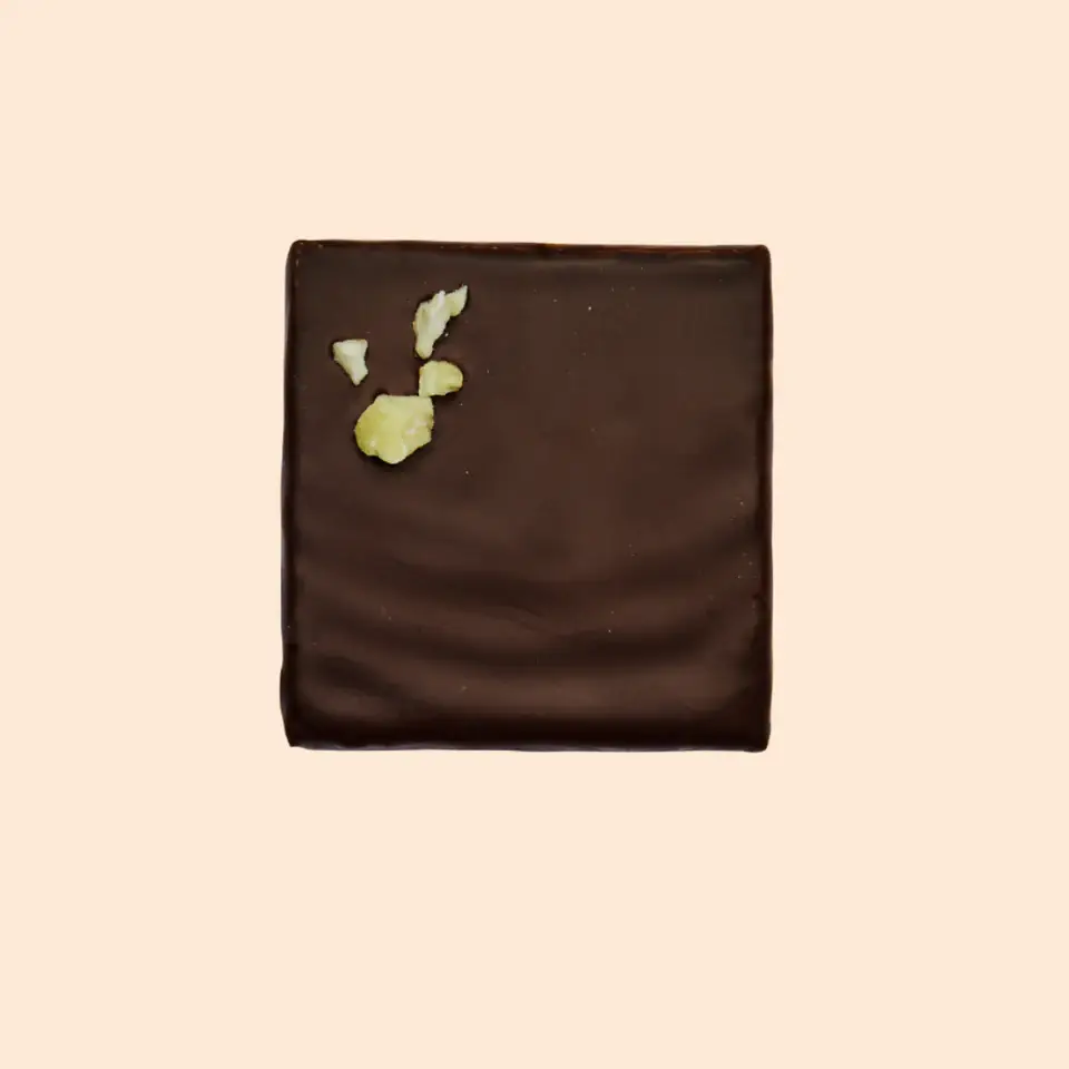 Cosmic Dealer – wholesale Chocolate bar – Single nut butter chocolate - Pistachio & Lion's Mane 2