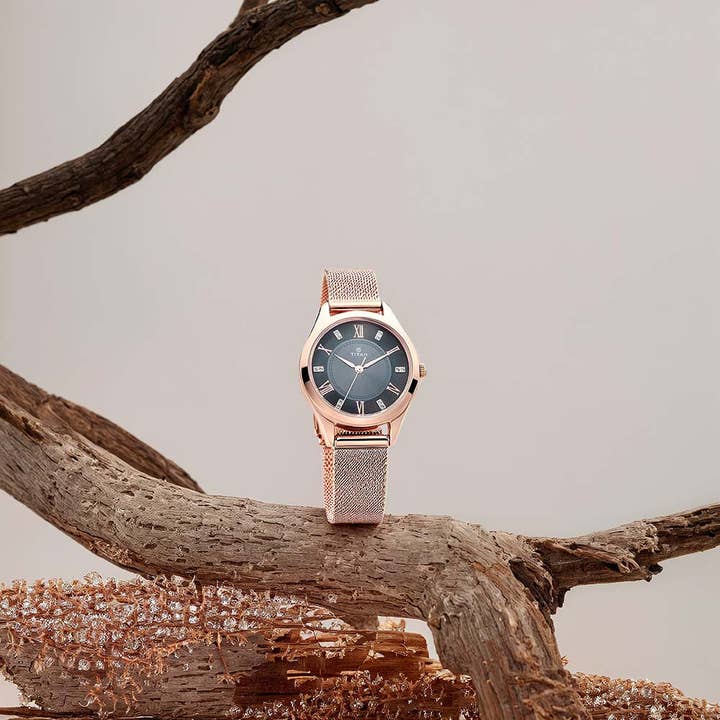 Titan Sparkle Anthracite Dial Analog Watch for Women for wholesale by Titan