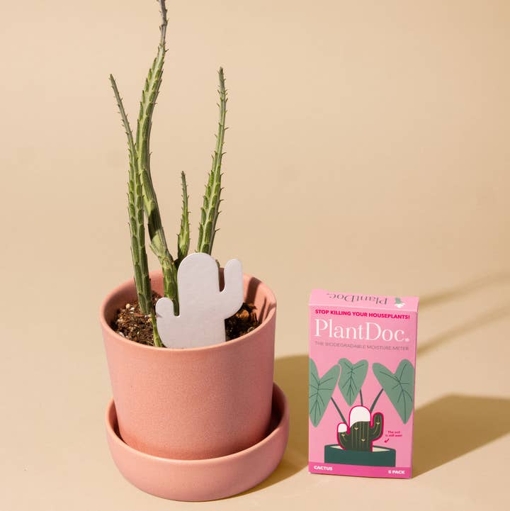 PlantDoc - Wholesale Garden Tool - Cactus PlantDoc: Color-Change Plant Moisture Meter