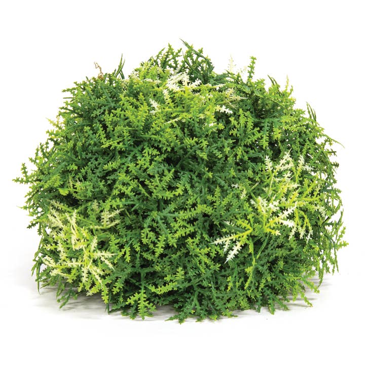 Semiesfera de Musgo del Bosque - 15 cm para venta al por mayor de Saybrook Lane