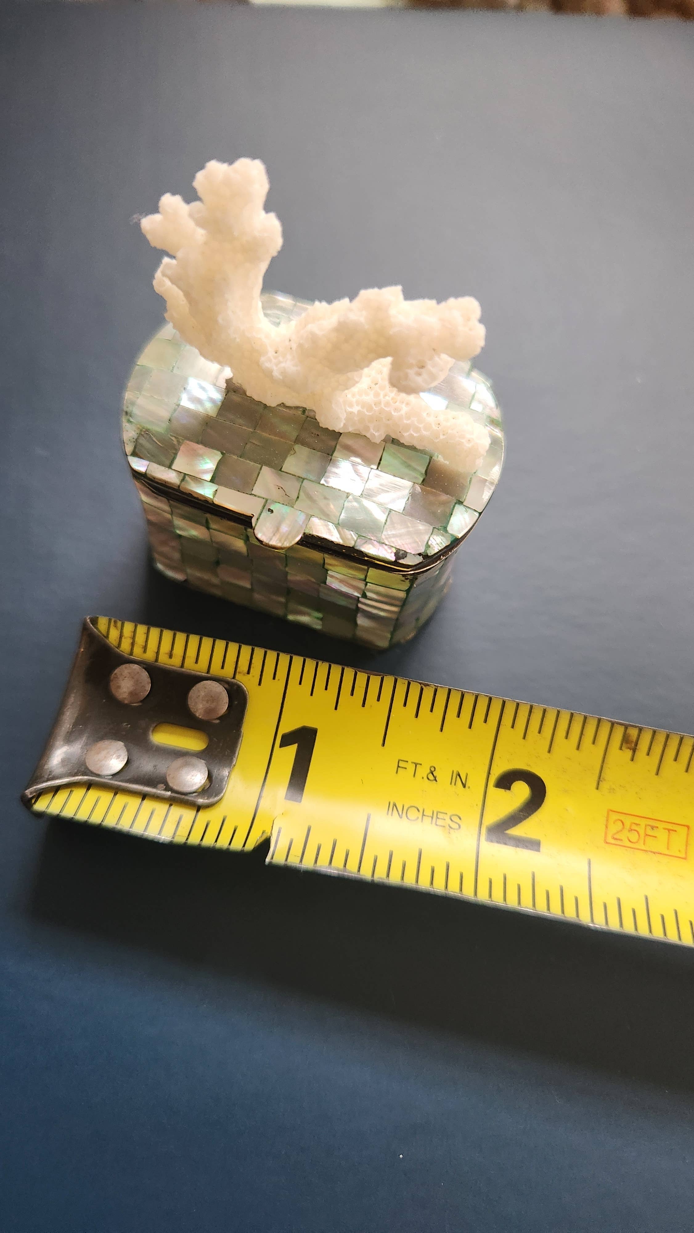 White Tulip Boutique - Wholesale Decorative Box - Mini Abalone MOP Shell Trinket Pill Box9