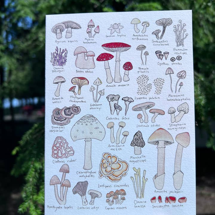 Cartão de felicitações de por atacado de Cassava & Rye