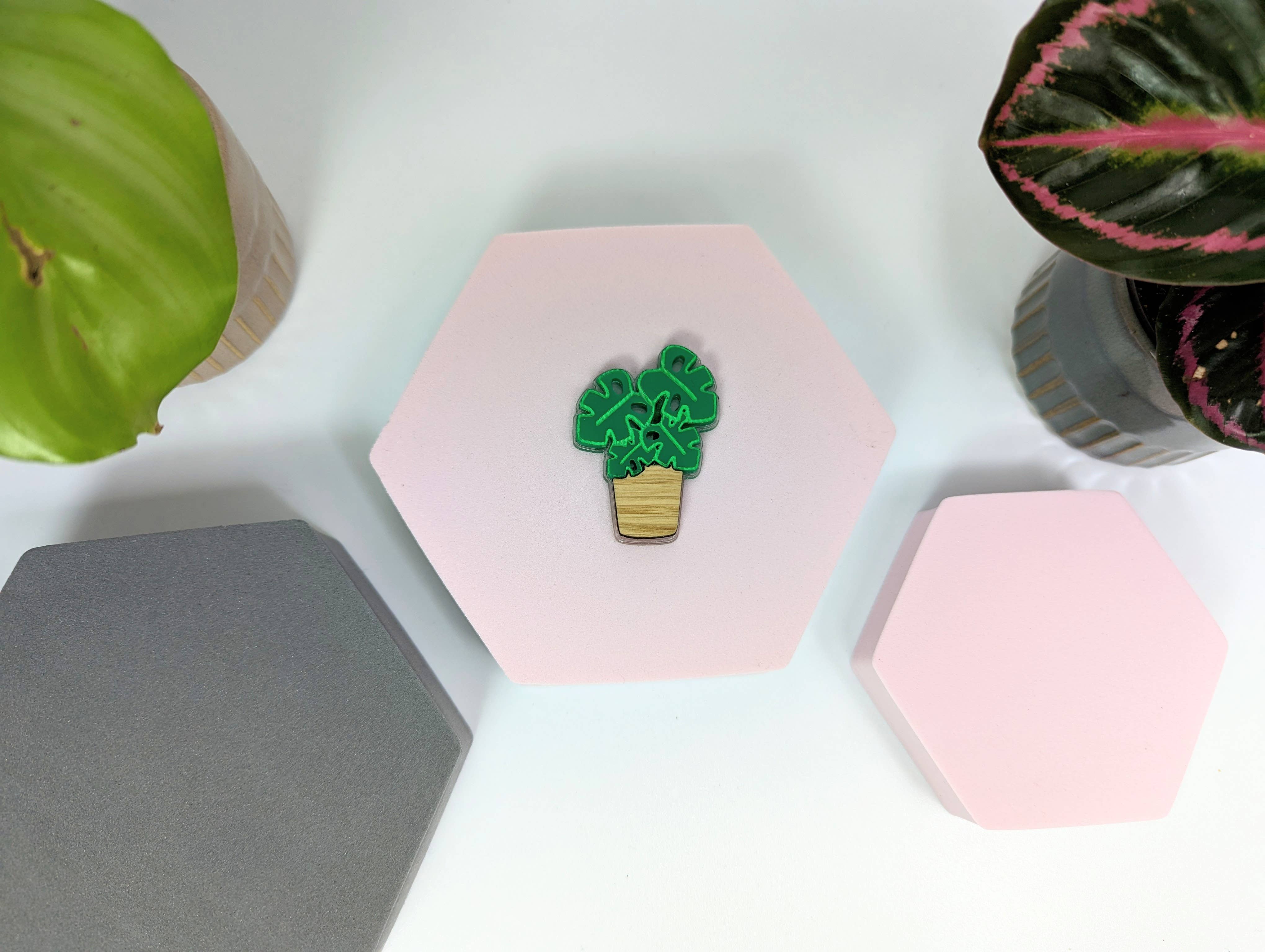 Chikai Shop - Vendita all'ingrosso Spille - Spilla Monstera su acrilico e legno di quercia4