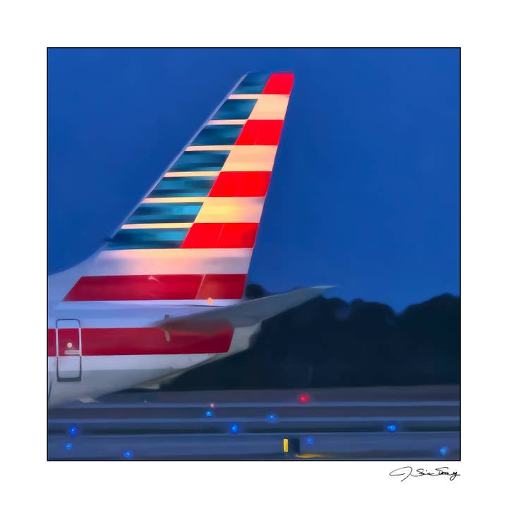 American Airlines pour la vente par Signature Image Gallery