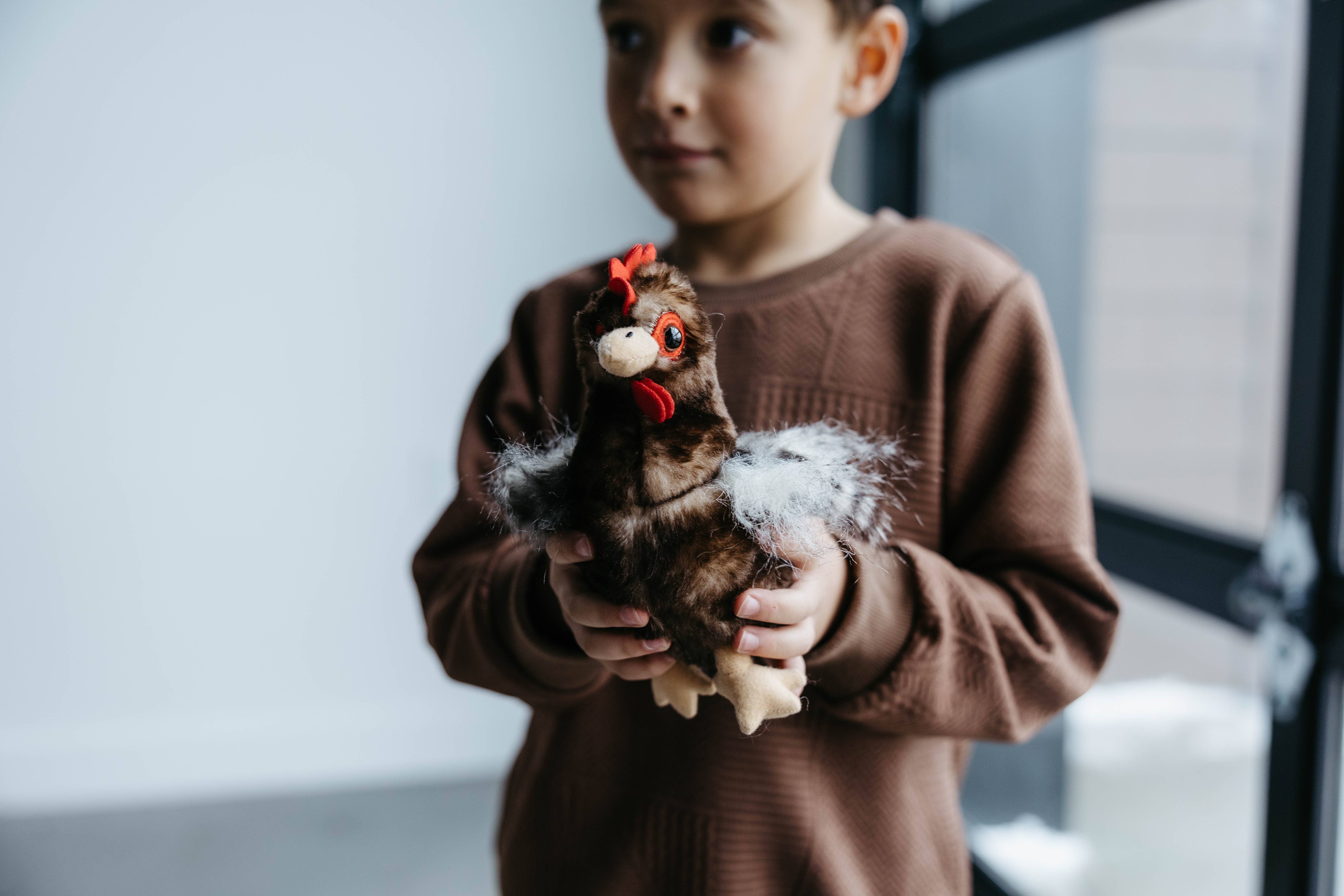 The Petting Zoo - Wholesale Stuffed/Plush Toy - Kids & Baby - 9" (20cm) Wild Onez Chicken Brown7
