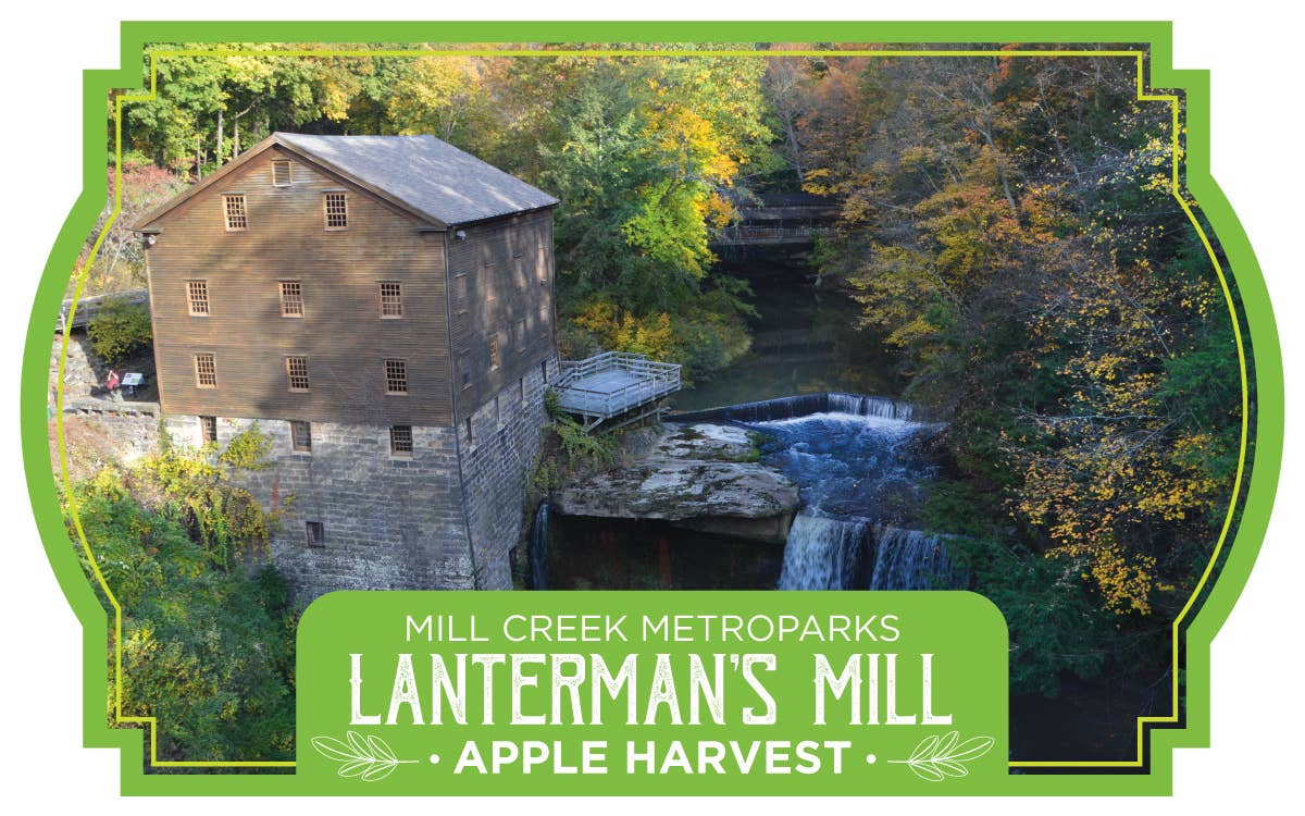 Virginia Creamery Candle Co. - Vendita all'ingrosso Candela in vasetto - Etichetta personalizzata candele barattolo da 16oz11