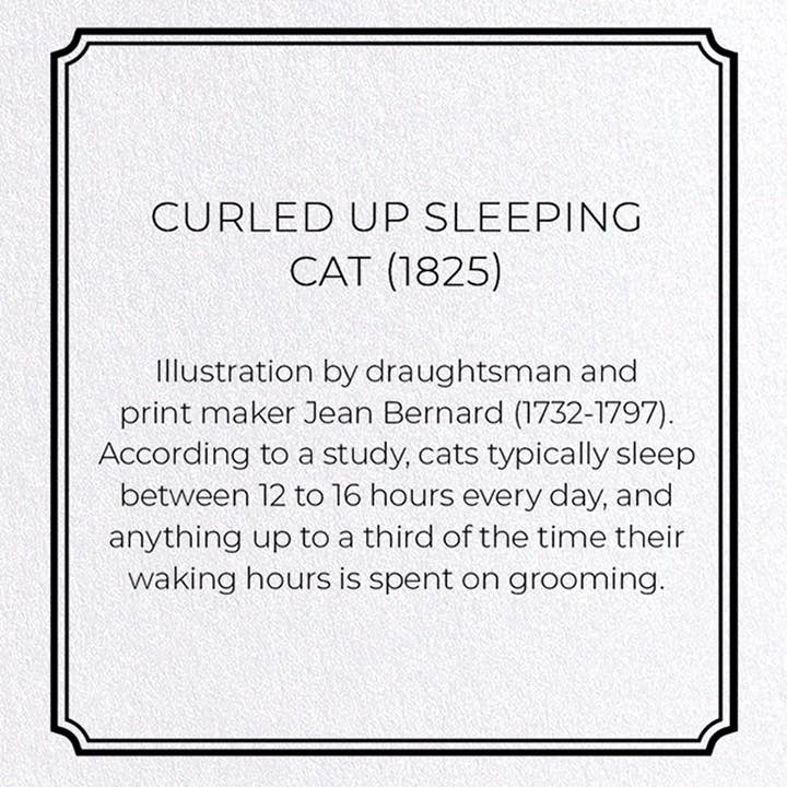 Ezen Trade - Wholesale Everyday Greeting Card - CURLED UP SLEEPING CAT (1825): Greeting Card3