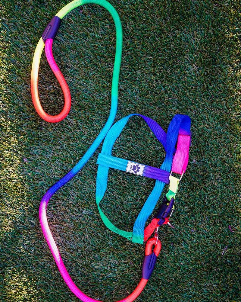 PAWZ - Wholesale Pet Harness - Dog - Rainbow Dog Harness & Matching Rope Leash1